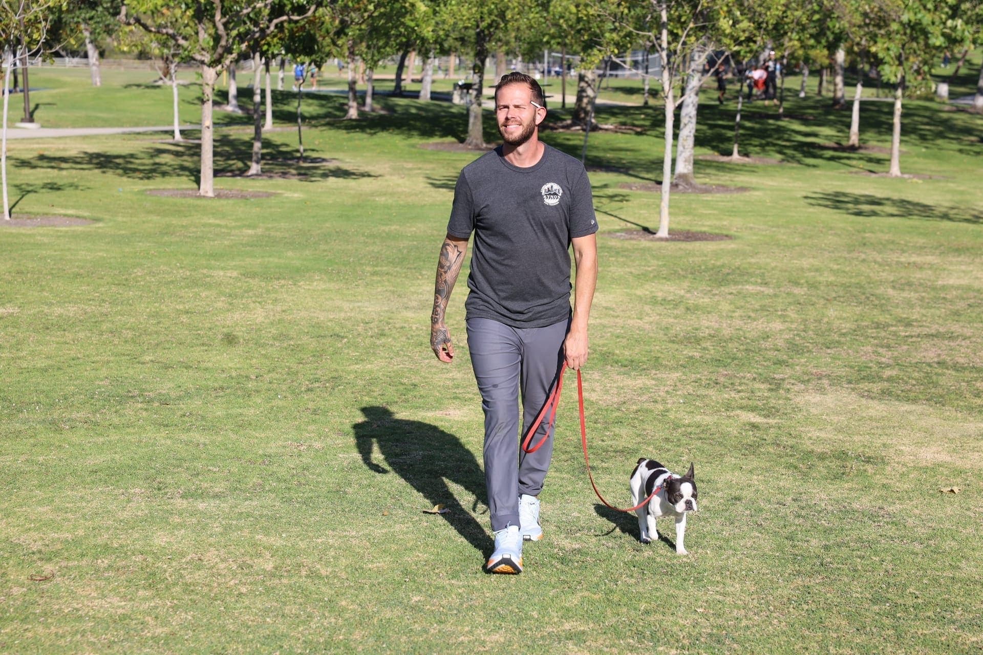 A young puppy learning to walk on a loose leash