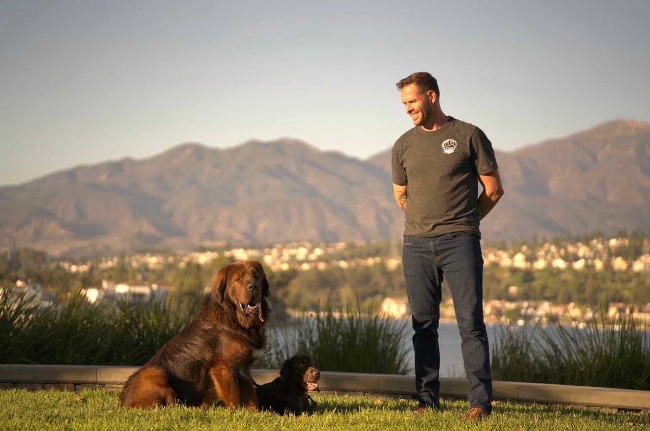 Kynos trainer Jake working with two dogs during a private session