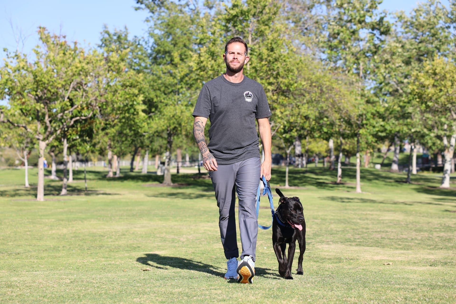 A trainer working calmly with a dog outdoors