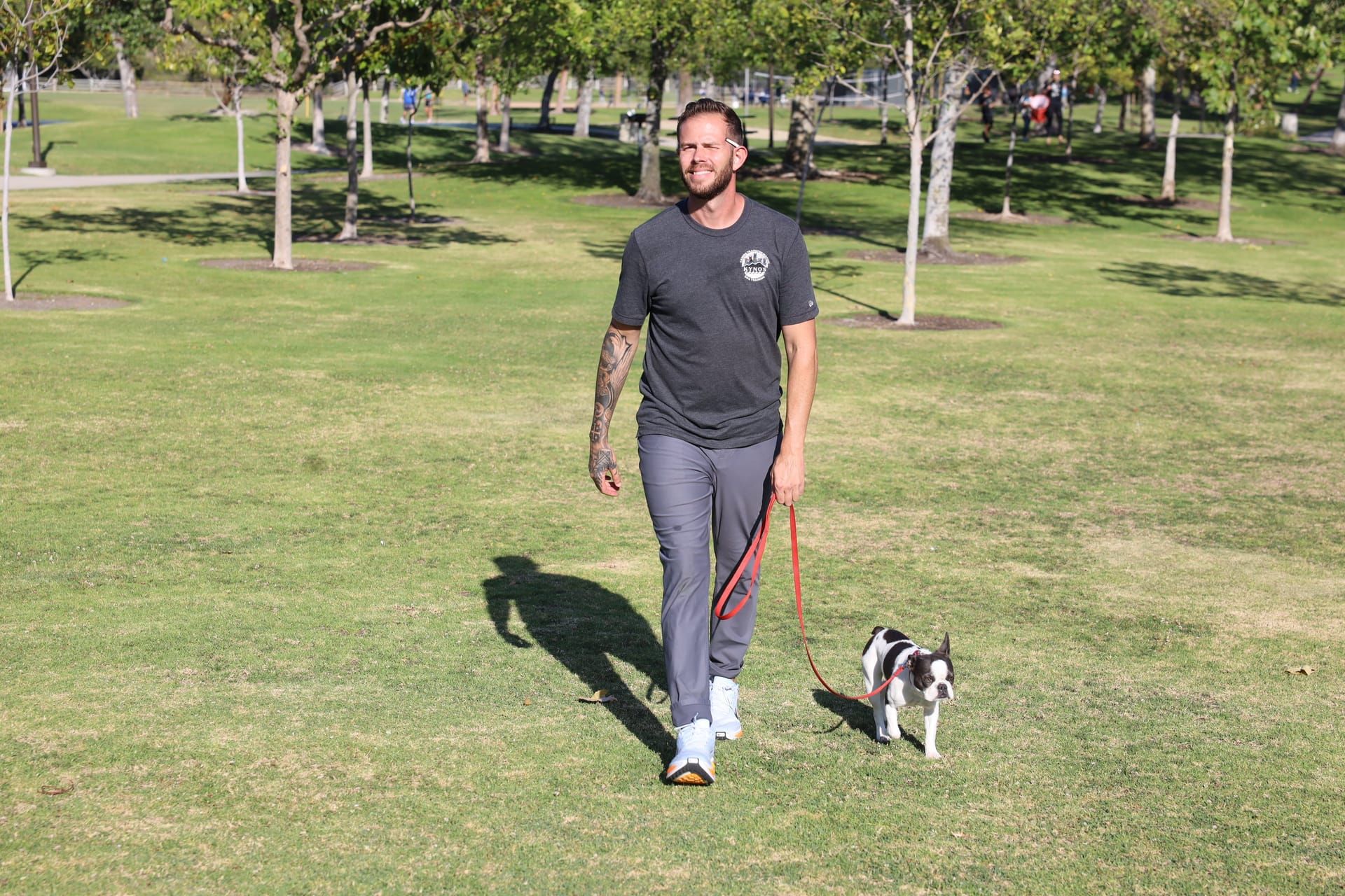 Jake training a Boston Terrier with loose leash walking in a sunny park