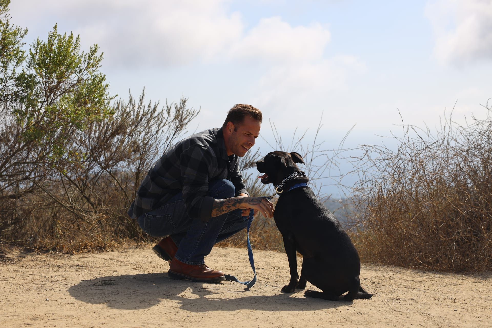 Jake training dog on trail in real outdoor environment in Orange County